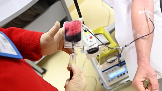 Häufiges Blutspenden stärkt Blutzell-Erneuerung Häufiges Blutspenden stärkt Blutzell-Erneuerung