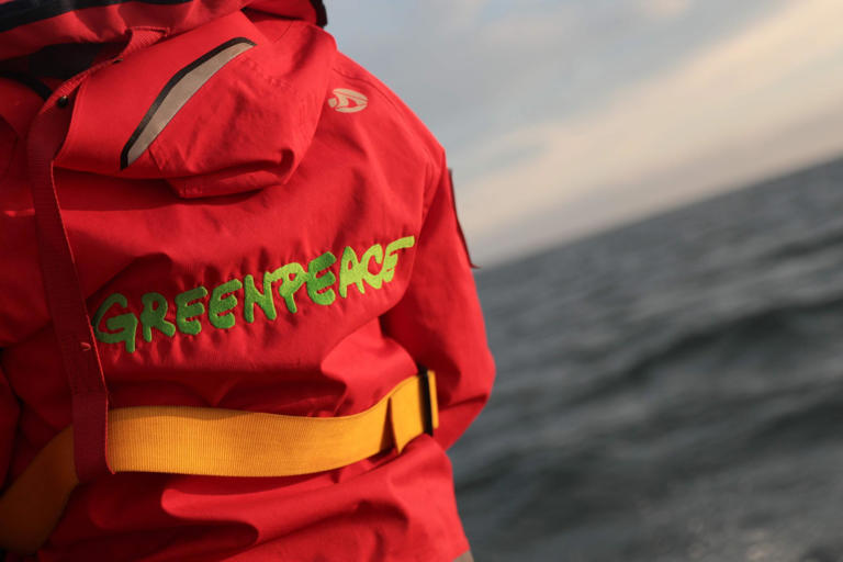 Mega-Strafe für Greenpeace: NGO muss hunderte Millionen Dollar zahlen Mega-Strafe für Greenpeace: NGO muss hunderte Millionen Dollar zahlen