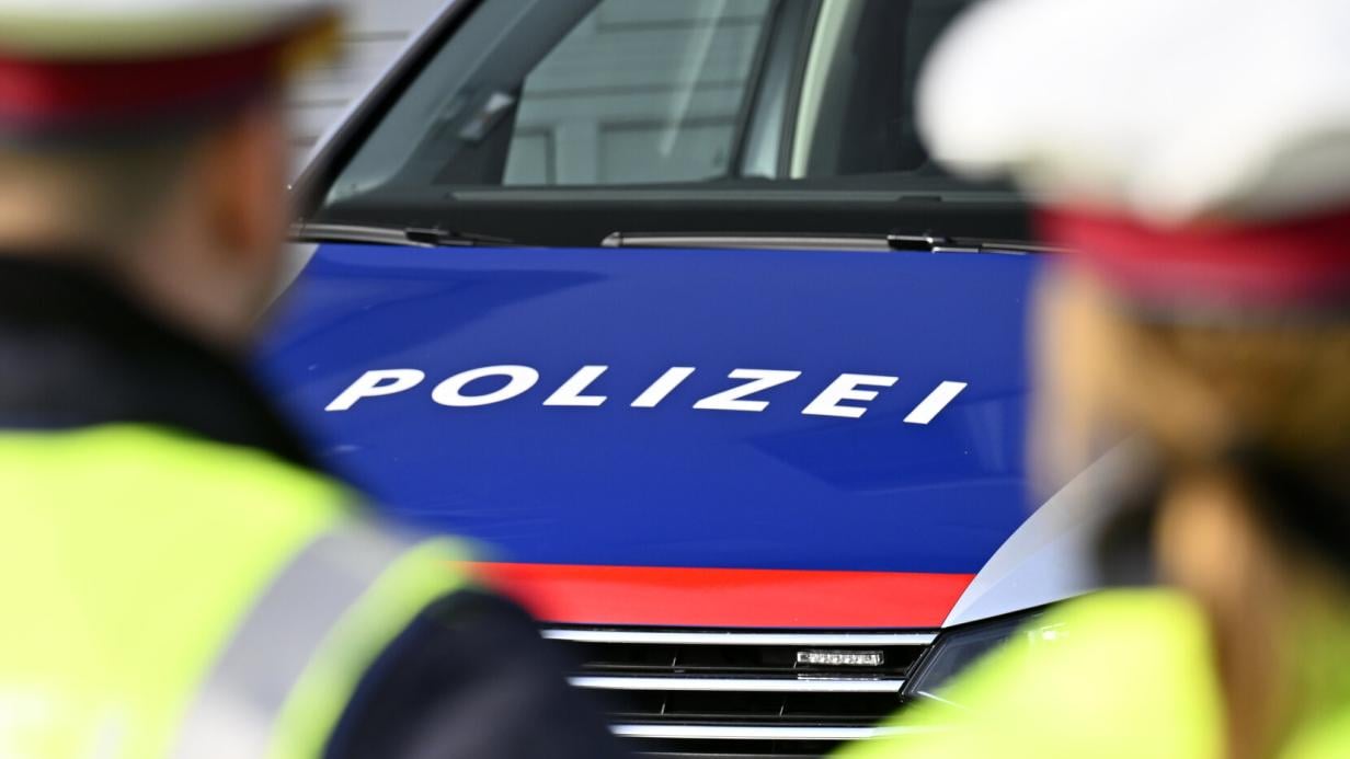 Ausgewiesener Pole wollte mit Kinderfahrrad betrunken auf Autobahn Ausgewiesener Pole wollte mit Kinderfahrrad betrunken auf Autobahn