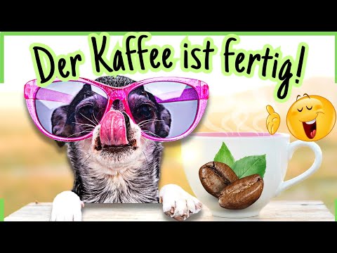 Ein fröhlicher Morgen im Café Ein fröhlicher Morgen im Café