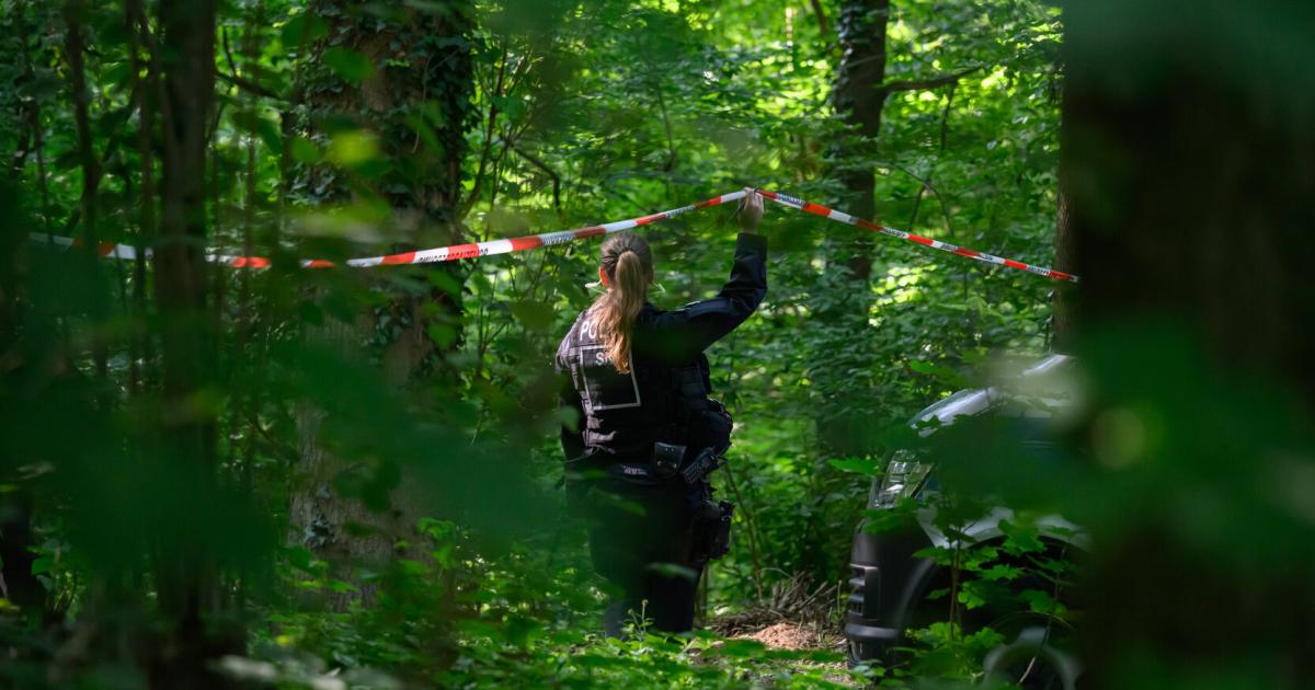 Getötete Frau (21) in Wald gefunden: Ist der Täter ein 16-Jähriger?